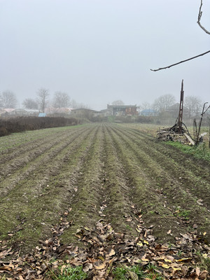 Продам дом, Мичурина ул, Сарский х, 0 км от города