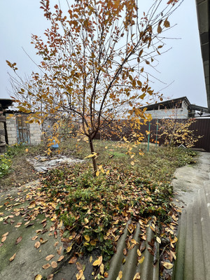 Продам дом, Мичурина ул, Сарский х, 0 км от города