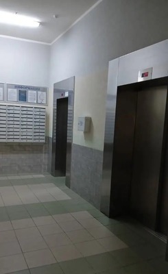 Продам однокомнатную (1-комн.) квартиру, Южное ш, 51к3, Санкт-Петербург г