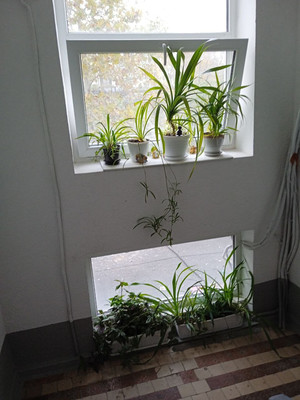 Продам однокомнатную (1-комн.) квартиру, Дзержинского пр-кт, 205, Новороссийск г