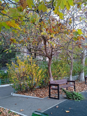 Продам однокомнатную (1-комн.) квартиру, Дзержинского пр-кт, 205, Новороссийск г