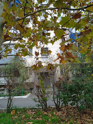 Продам однокомнатную (1-комн.) квартиру, Дзержинского пр-кт, 205, Новороссийск г