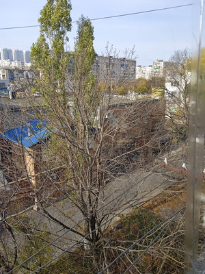 Продам однокомнатную (1-комн.) квартиру, Дзержинского пр-кт, 168, Новороссийск г