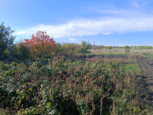 Продам участок 12 соток, ИЖС, Гагарина ул, Урожайное с, 0 км от города