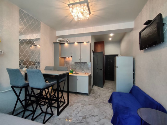 Продам однокомнатную (1-комн.) квартиру, Фадеева (Центральный р-н) ул, 32/1, Сочи г