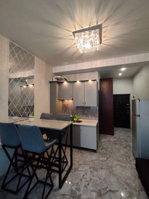 Продам однокомнатную (1-комн.) квартиру, Фадеева (Центральный р-н) ул, 32/1, Сочи г