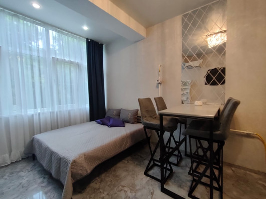 Продам однокомнатную (1-комн.) квартиру, Фадеева (Центральный р-н) ул, 32/1, Сочи г