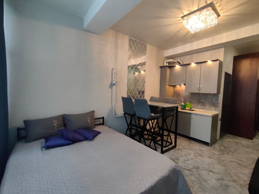 Продам однокомнатную (1-комн.) квартиру, Фадеева (Центральный р-н) ул, 32/1, Сочи г