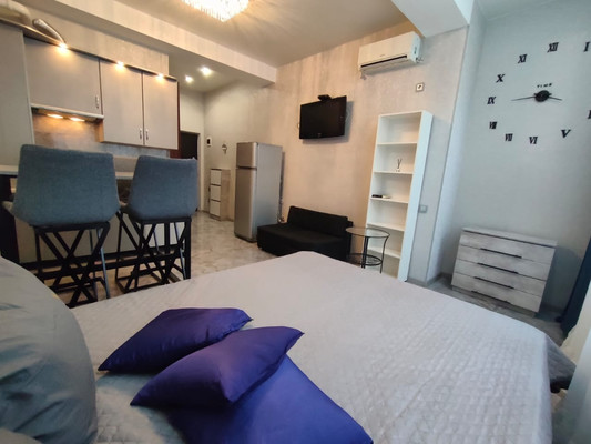 Продам однокомнатную (1-комн.) квартиру, Фадеева (Центральный р-н) ул, 32/1, Сочи г