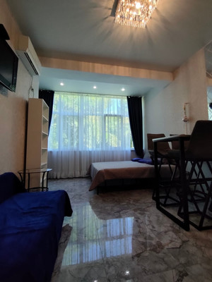 Продам однокомнатную (1-комн.) квартиру, Фадеева (Центральный р-н) ул, 32/1, Сочи г