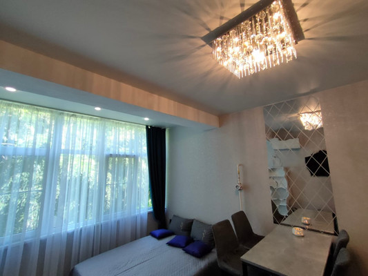 Продам однокомнатную (1-комн.) квартиру, Фадеева (Центральный р-н) ул, 32/1, Сочи г