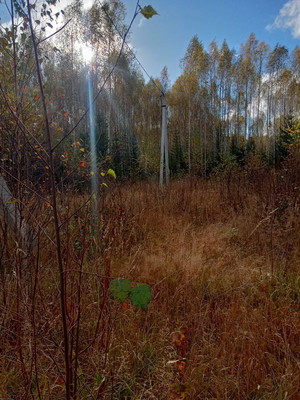 Продам участок 200 соток, Фермерское хоз., Мира ул, Карагай с, 0 км от города