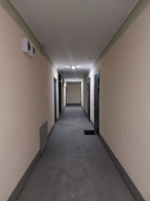 Сдам однокомнатную (1-комн.) квартиру, Валерия Гаврилина ул, 11к1, Парголово п