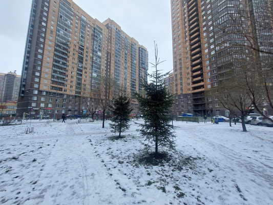 Сдам однокомнатную (1-комн.) квартиру, Валерия Гаврилина ул, 11к1, Парголово п