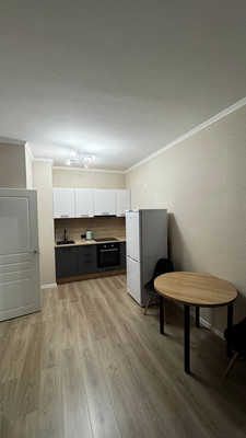 Сдам однокомнатную (1-комн.) квартиру, Ясная ул, 20к1, Янино-1 гп