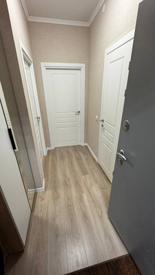 Сдам однокомнатную (1-комн.) квартиру, Ясная ул, 20к1, Янино-1 гп