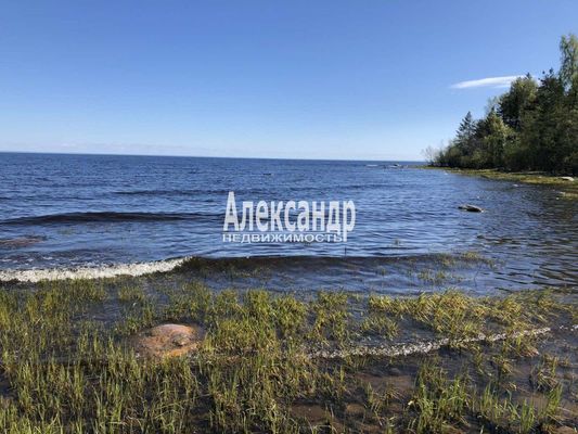 Продам дачу, Дружба снт, 54, Массив Заречный дп, 120 км от города