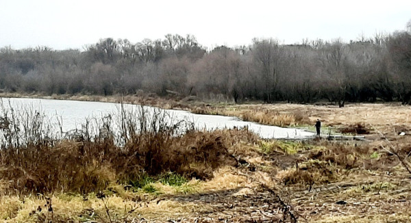Продам дом, Благовещенская (Тихий Дон - 2 тер. ДНТ) ул, Воронеж г, 0 км от города