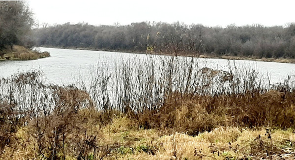 Продам дом, Благовещенская (Тихий Дон - 2 тер. ДНТ) ул, Воронеж г, 0 км от города