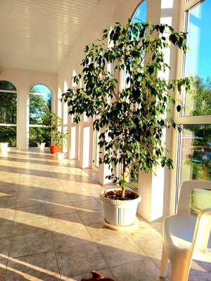 Продам дом, Новая ул, Шишовка п, 0 км от города