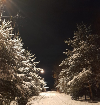 Продам дом, Новая ул, Шишовка п, 0 км от города