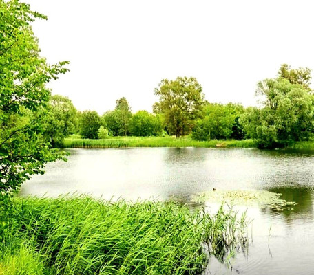 Продам дом, Новая ул, Шишовка п, 0 км от города