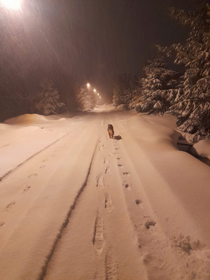 Продам дом, Новая ул, Шишовка п, 0 км от города