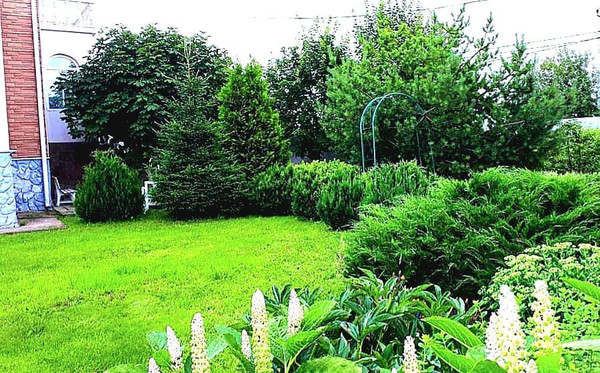 Продам дом, Новая ул, Шишовка п, 0 км от города