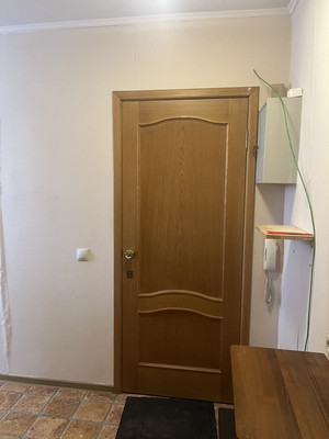 Продам однокомнатную (1-комн.) квартиру, Светлановский пр-кт, 119, Санкт-Петербург г