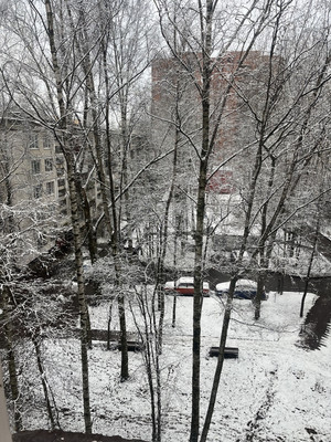 Продам однокомнатную (1-комн.) квартиру, Светлановский пр-кт, 119, Санкт-Петербург г