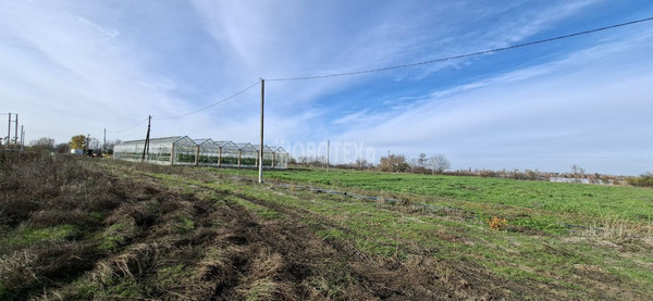 Продам участок 6,3 соток, ИЖС, Курганинский пер, Курганинск г, 0 км от города