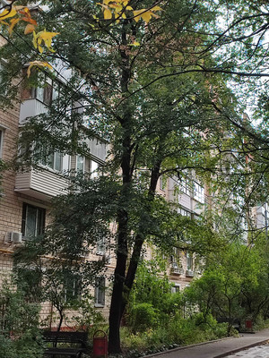 Продам двухкомнатную (2-комн.) квартиру, Андропова пр-кт, 32/37, Москва г