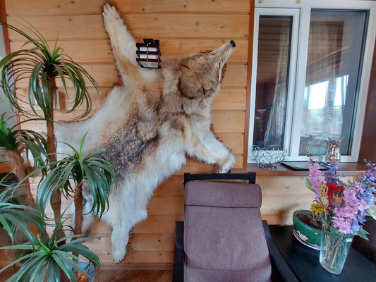 Сдам дом, Каменное Тяжино д, 0 км от города