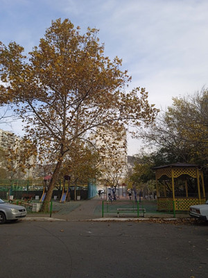 Продам однокомнатную (1-комн.) квартиру, Пожарского ул, 8, Новороссийск г