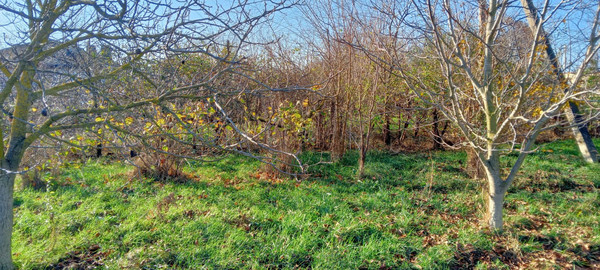 Продам участок 6 соток, ИЖС, Лиманная ул, Виноградный п, 0 км от города