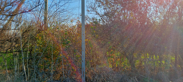 Продам участок 6 соток, ИЖС, Лиманная ул, Виноградный п, 0 км от города