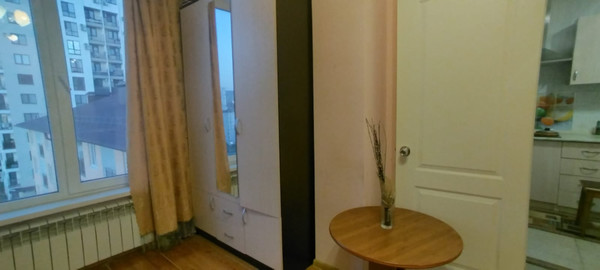 Продам однокомнатную (1-комн.) квартиру, Пасечная (Победитель снт) ул, 45г/1, Сочи г