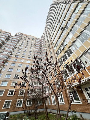 Продам трехкомнатную (3-комн.) квартиру, Лесной снт, 5к1, Подольской машинно-испытательной станции п