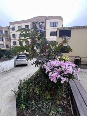 Продам двухкомнатную (2-комн.) квартиру, Любимый пер, 14, Мысхако с