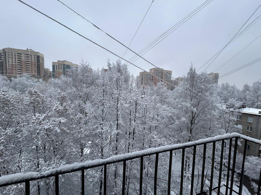 Продам однокомнатную (1-комн.) квартиру, Верности ул, 11, Санкт-Петербург г