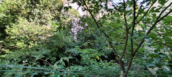 Продам двухкомнатную (2-комн.) квартиру, Дивноморская (Хостинский р-н) ул, 12, Сочи г