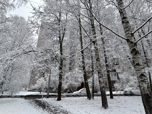 Продам однокомнатную (1-комн.) квартиру, Верности ул, 11, Санкт-Петербург г