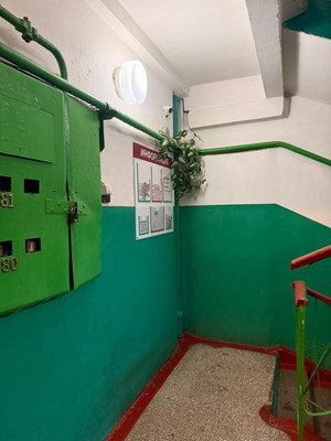 Продам однокомнатную (1-комн.) квартиру, Попова ул, 51, Заринск г