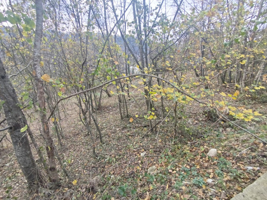 Продам участок 5,5 соток, Фермерское хоз., Холодный Родник с, 0 км от города