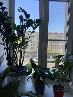 Продам комнату в 4-комн. квартире, Обводного канала наб, 142/16, Санкт-Петербург г