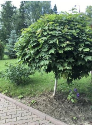 Продам таунхаус, Ахматовой (Опалиха мкр.) ул, 20, Красногорск г, 0 км от города