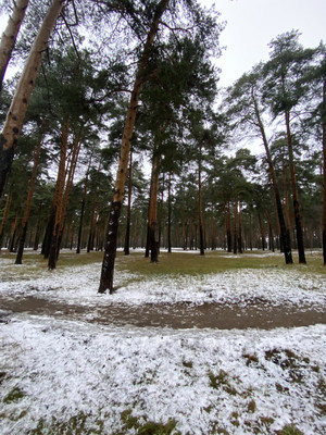 Продам однокомнатную (1-комн.) квартиру, им Владимира Махалина мкр, 37, Дмитров г