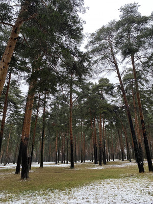 Продам однокомнатную (1-комн.) квартиру, им Владимира Махалина мкр, 37, Дмитров г