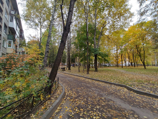 Продам многокомнатную квартиру, Просвещения пр-кт, 86к3, Санкт-Петербург г