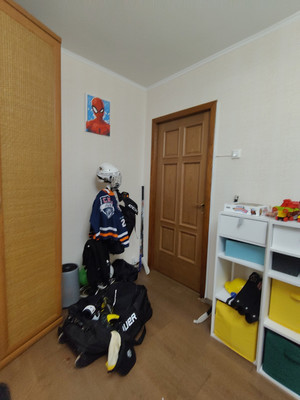 Продам многокомнатную квартиру, Просвещения пр-кт, 86к3, Санкт-Петербург г